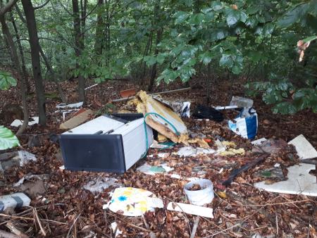 Butajnova-Planina (Divje odlagališče) (4)